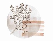 趋势解析｜成人版抖音短视频审核新规盘点